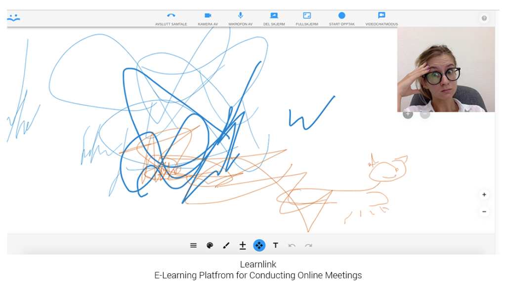 Learnlink_Online_Meeting
